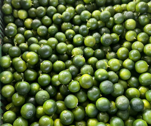 TẮC ( QUẢ QUẤT )