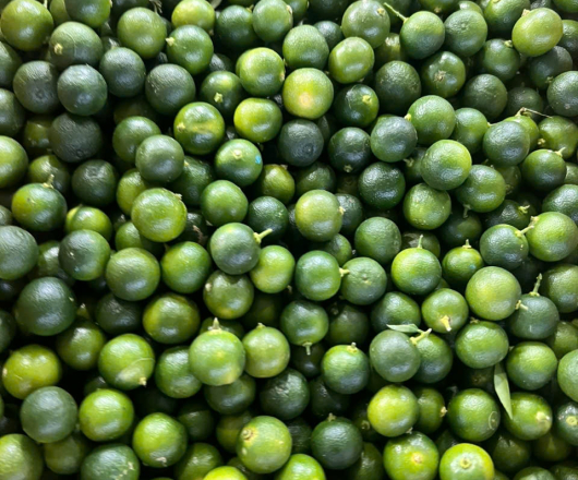 TẮC ( QUẢ QUẤT )