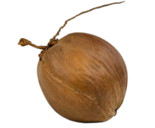 DỪA KHÔ NGUYÊN TRÁI