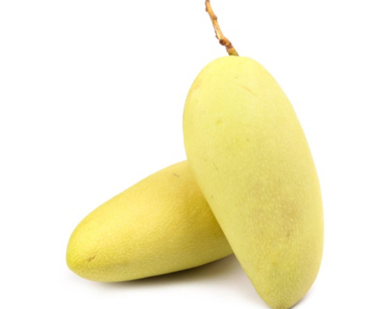 XOÀI VÀNG ĐÀI LOAN