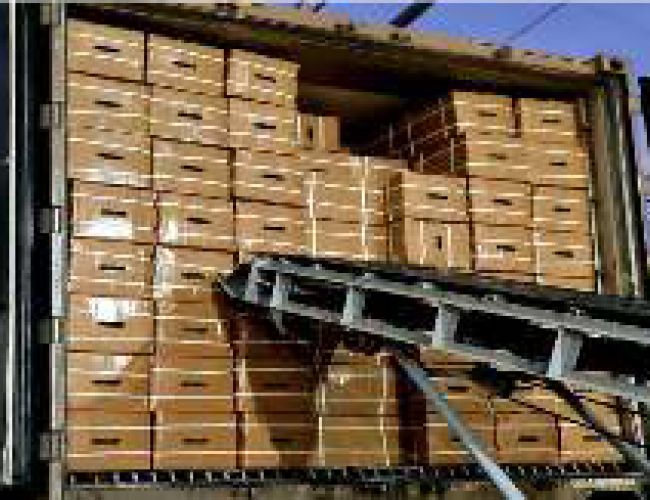 SỨ MỆNH CỦA CHÚNG TÔI